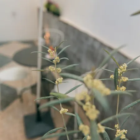 Apartman Entre O Carmo E A Trindade