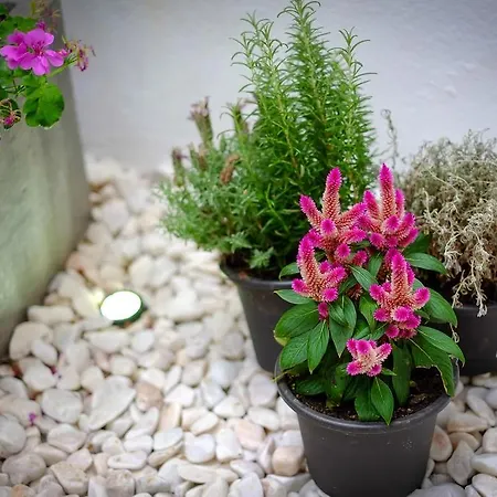 Entre O Carmo E A Trindade * Lizbona